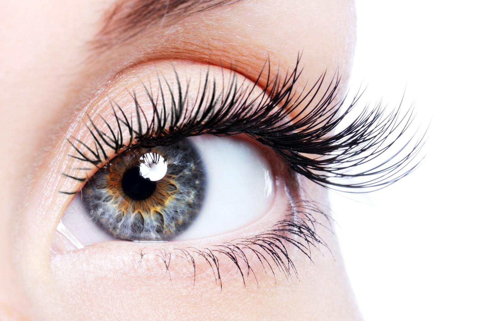 Shawne, our Lash Guru is here!