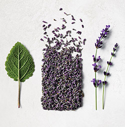 Restorative Body Treatment