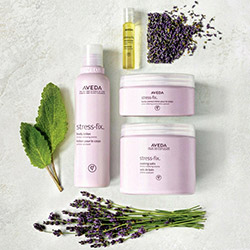 Stressfix