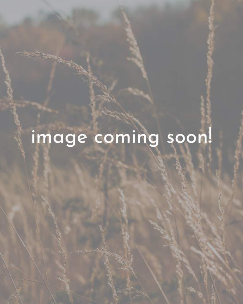 Image-coming-soon