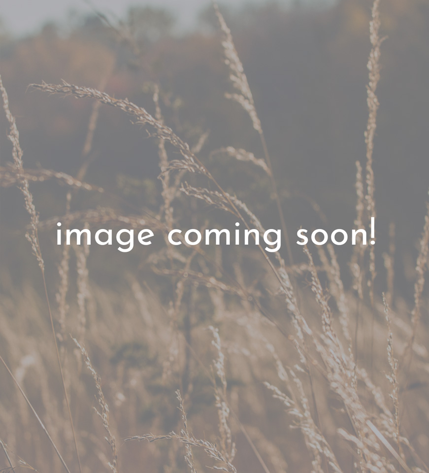 Image Coming Soon